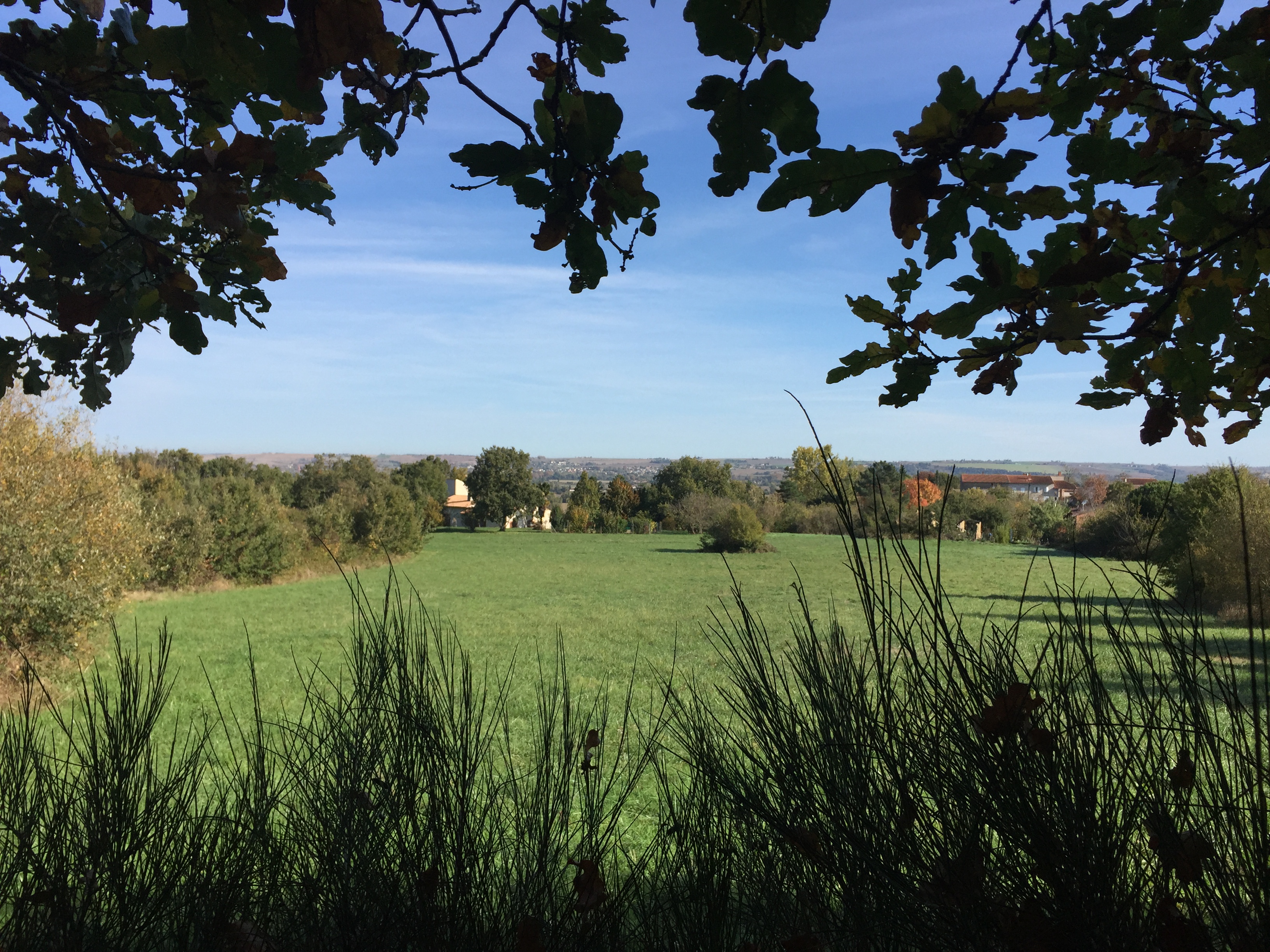 LE HAMEAU DU CHATEAU - GRAZAC (31)